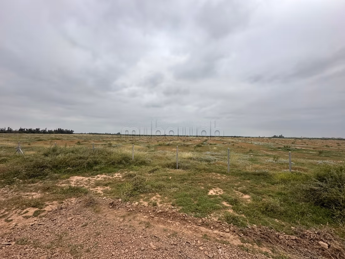 Terrain à la vente à Ennakhil Palmeraie. 
Surface de 100000 m²