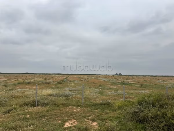 Land om te kopen in Ennakhil Palmeraie. Totale oppervlakte 100000 m²