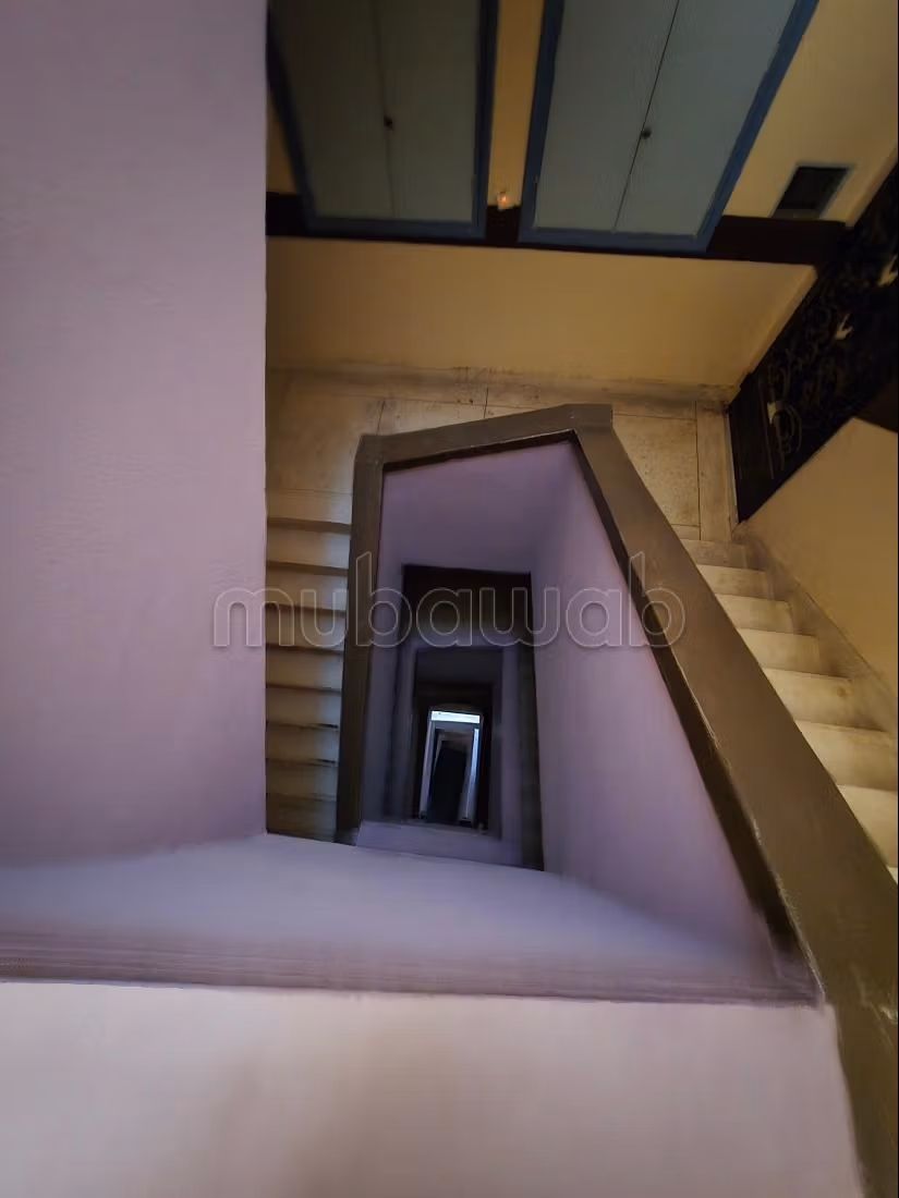 Jolie Appartement Bien Rénové Badia Nojjoum — 5