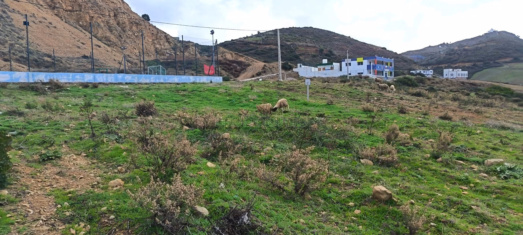 Vendita terreno. Superficie 8000 m²