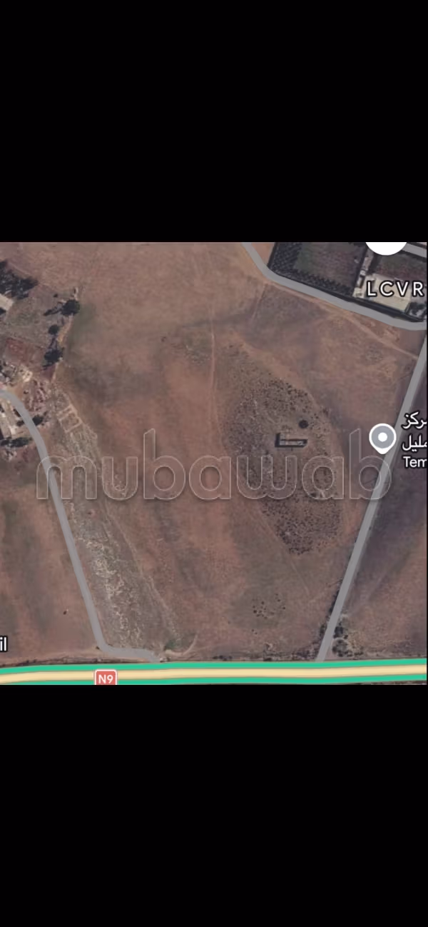 Terrain 10 hectares à sidi hajjaj tit mellil
