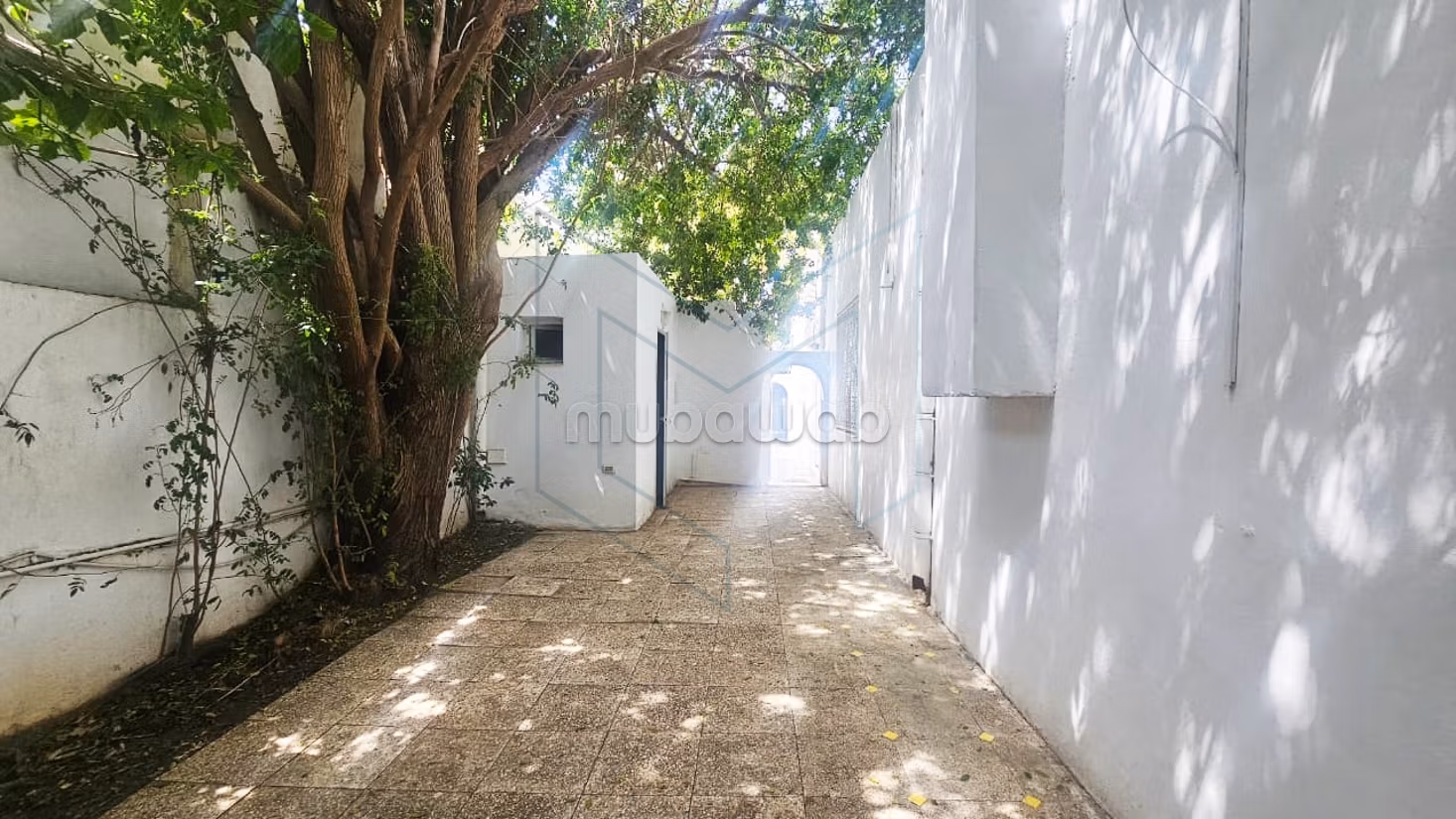 À louer une villa S4 plein pied à Carthage dermech
