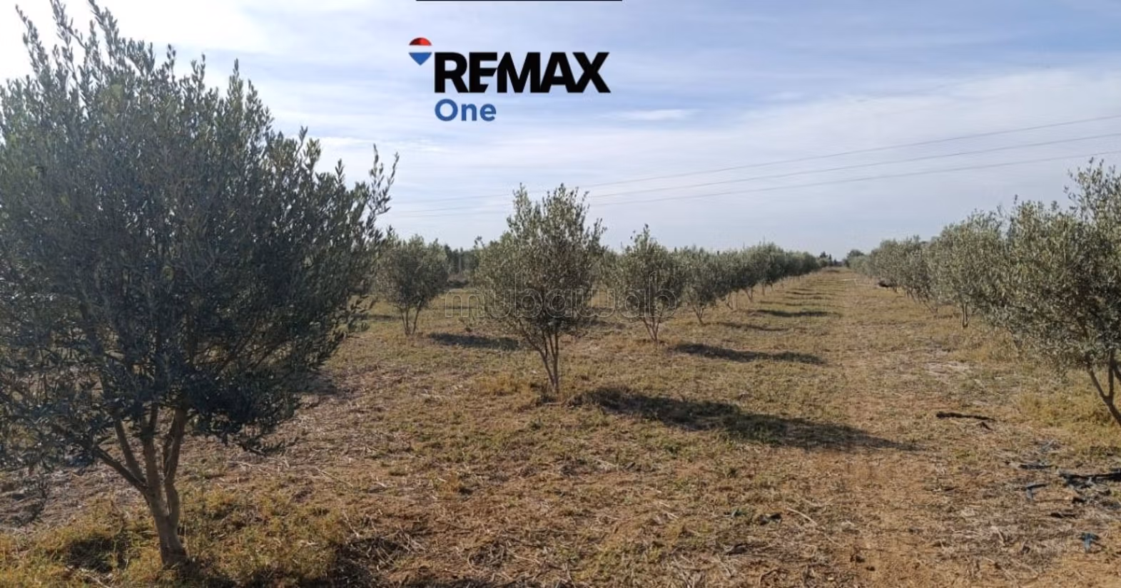 À VENDRE –Villa sur un terrain agricole, Chorfech