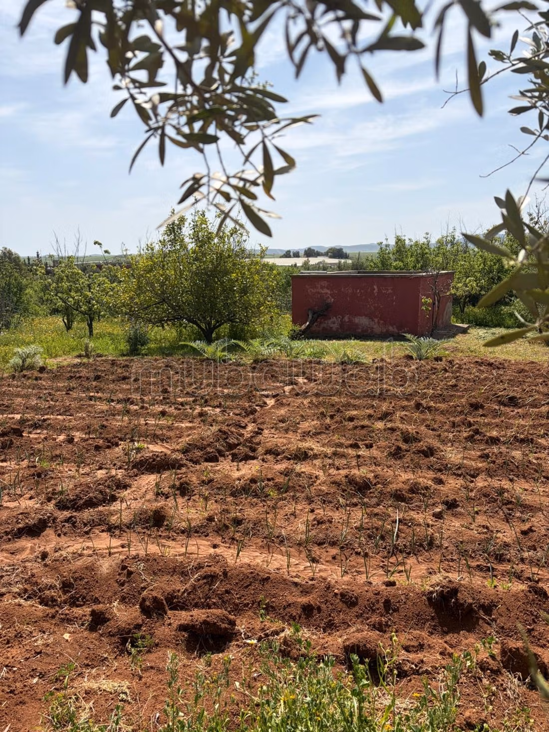 Boerderij te koop naast Rommani