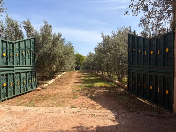 Fattoria in vendita accanto a Rommani