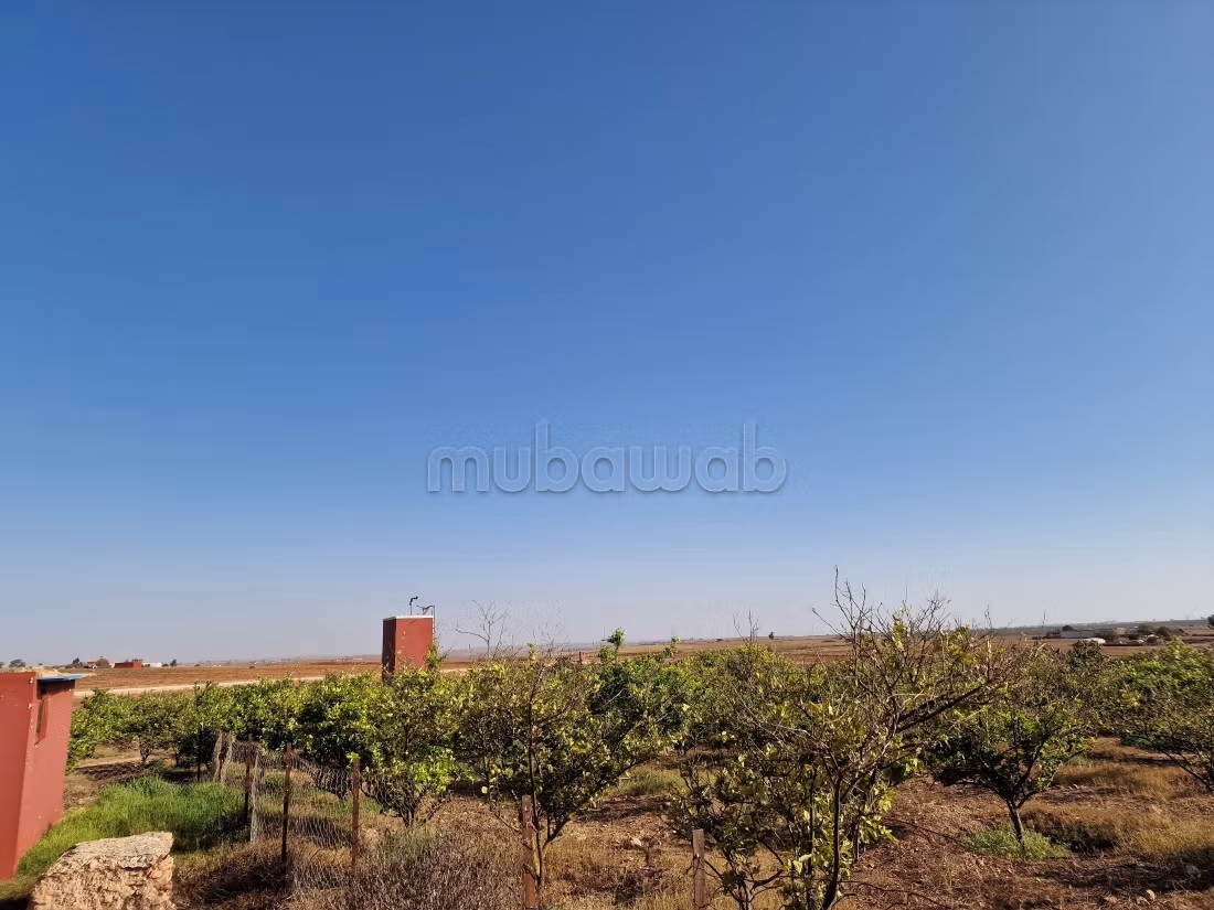 Agréable ferme à vendre à Oulad Hamdane. Surface de 26520 m². Sécurisé 24/24