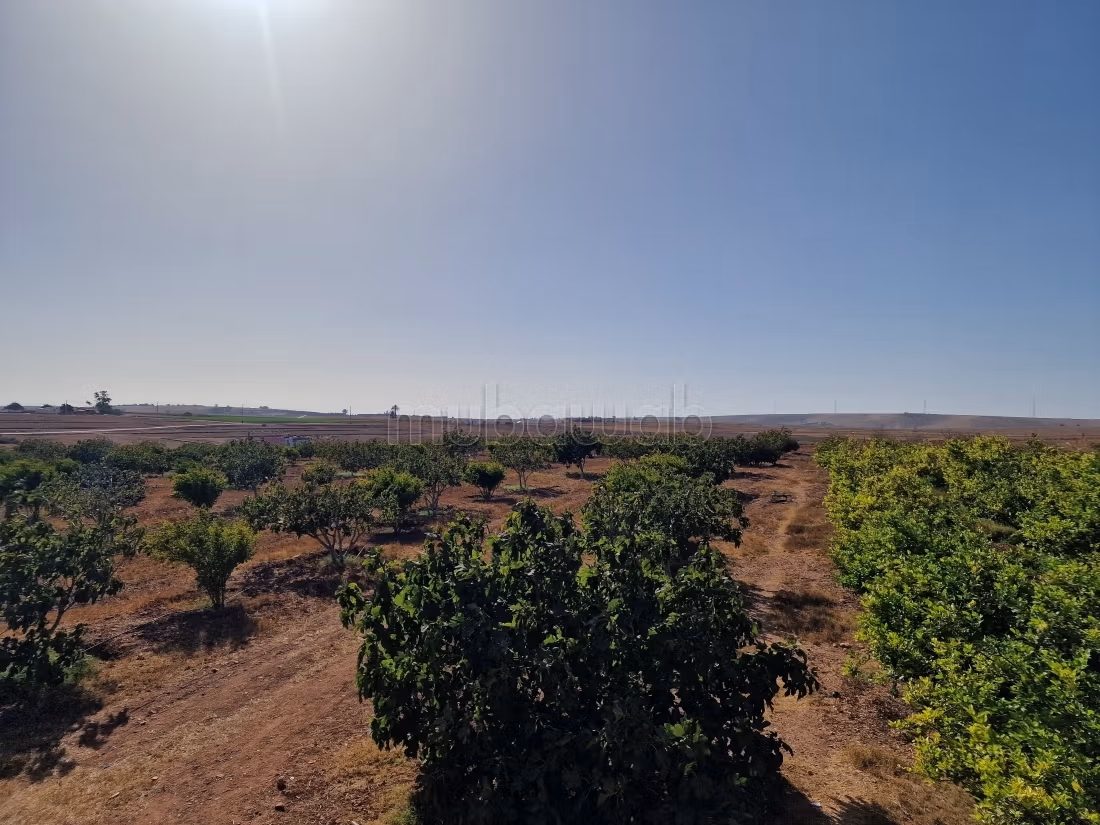 Agréable ferme à vendre à Oulad Hamdane. Surface de 26520 m². Sécurisé 24/24