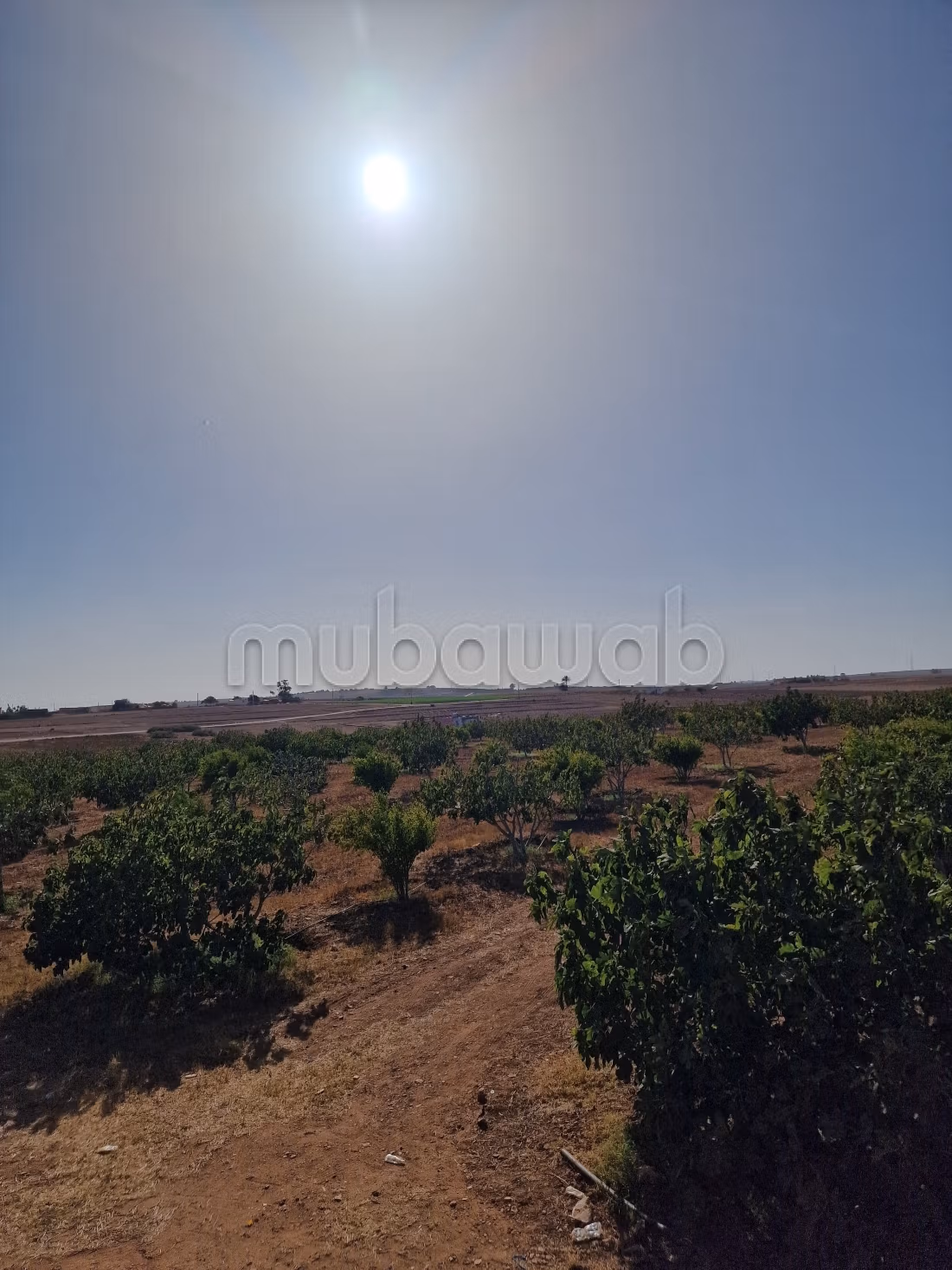 Agréable ferme à vendre à Oulad Hamdane. Surface de 26520 m². Sécurisé 24/24
