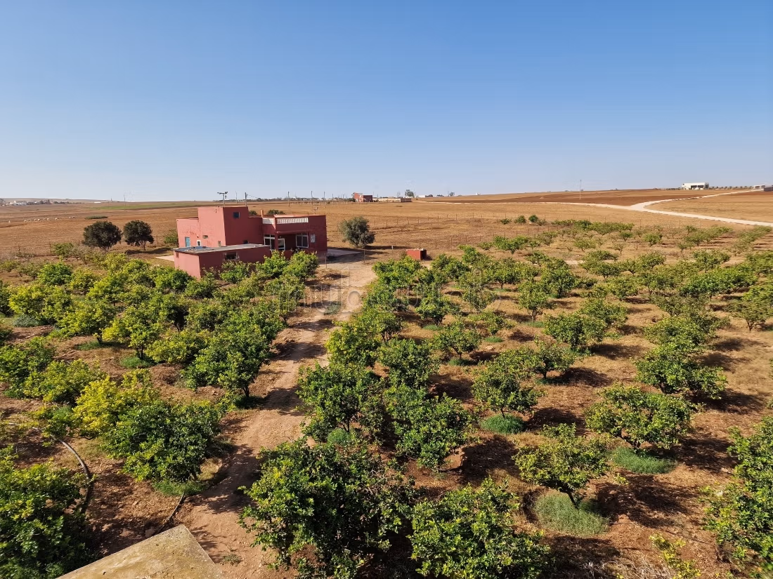 Agréable ferme à vendre à Oulad Hamdane. Surface de 26520 m². Sécurisé 24/24