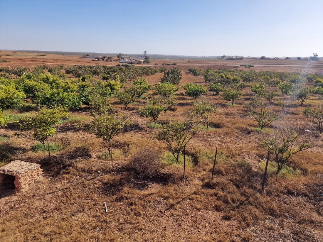 Agréable ferme à vendre à Oulad Hamdane. Surface de 26520 m². Sécurisé 24/24
