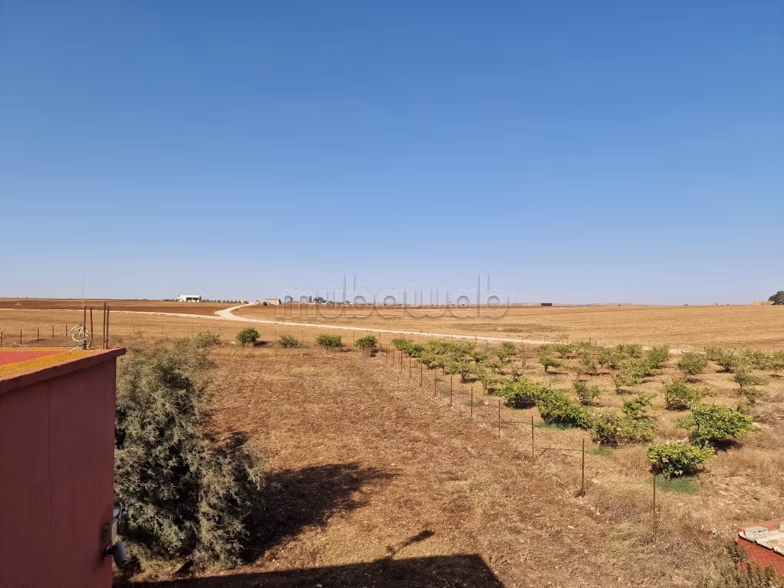Agréable ferme à vendre à Oulad Hamdane. Surface de 26520 m². Sécurisé 24/24