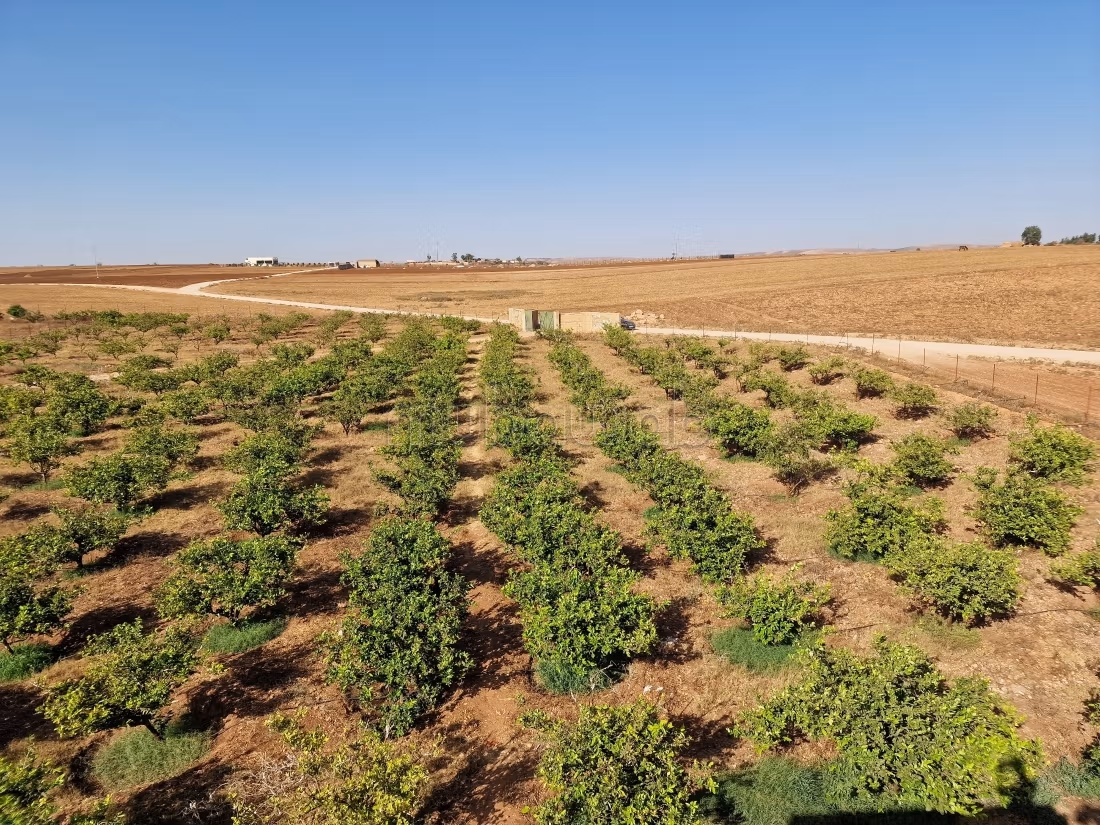Agréable ferme à vendre à Oulad Hamdane. Surface de 26520 m². Sécurisé 24/24