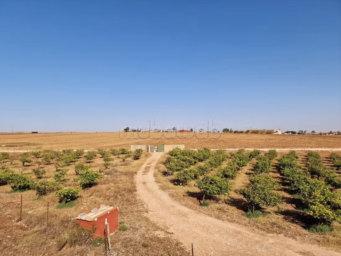 Agréable ferme à vendre à Oulad Hamdane. Surface de 26520 m². Sécurisé 24/24