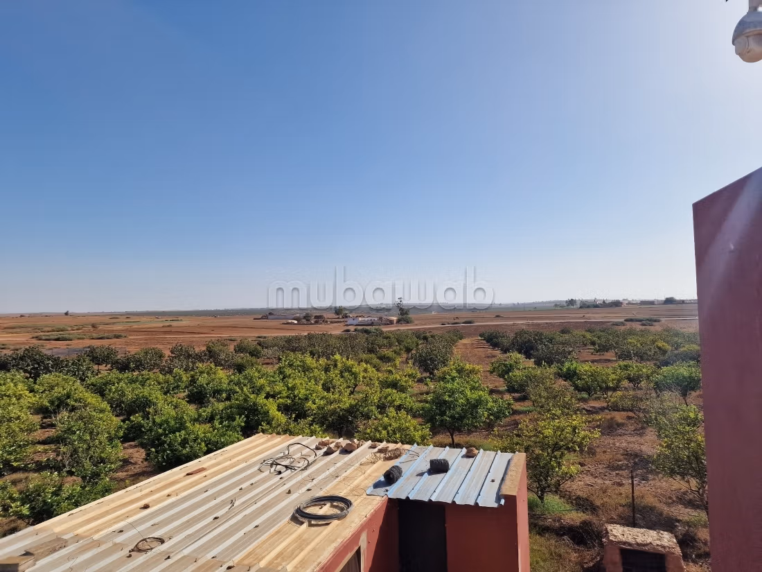 Agréable ferme à vendre à Oulad Hamdane. Surface de 26520 m². Sécurisé 24/24