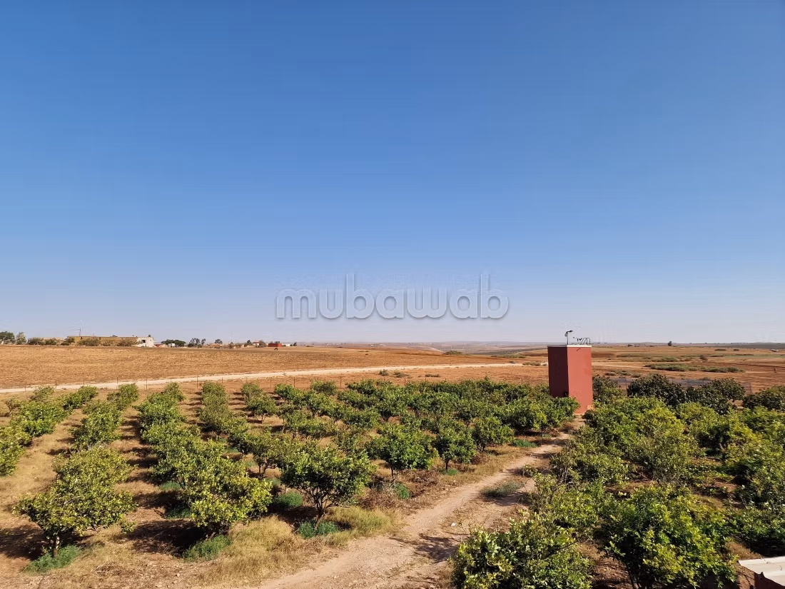 Agréable ferme à vendre à Oulad Hamdane. Surface de 26520 m². Sécurisé 24/24