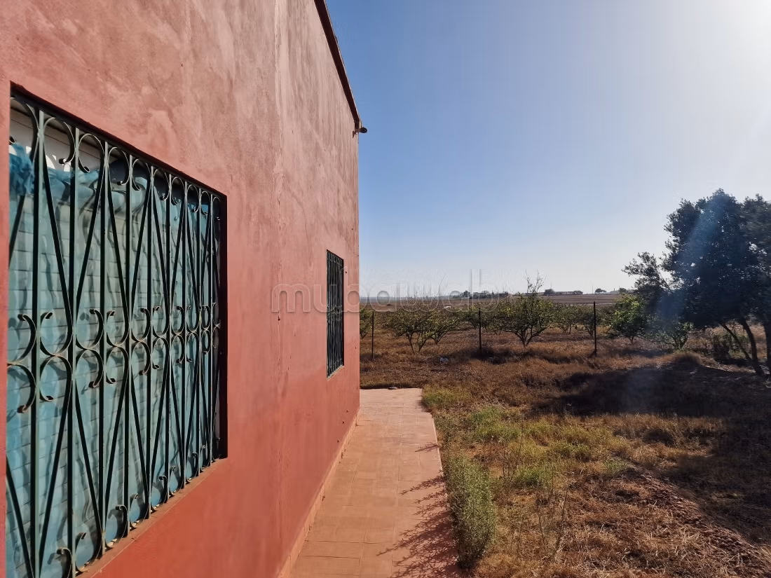 Agréable ferme à vendre à Oulad Hamdane. Surface de 26520 m². Sécurisé 24/24