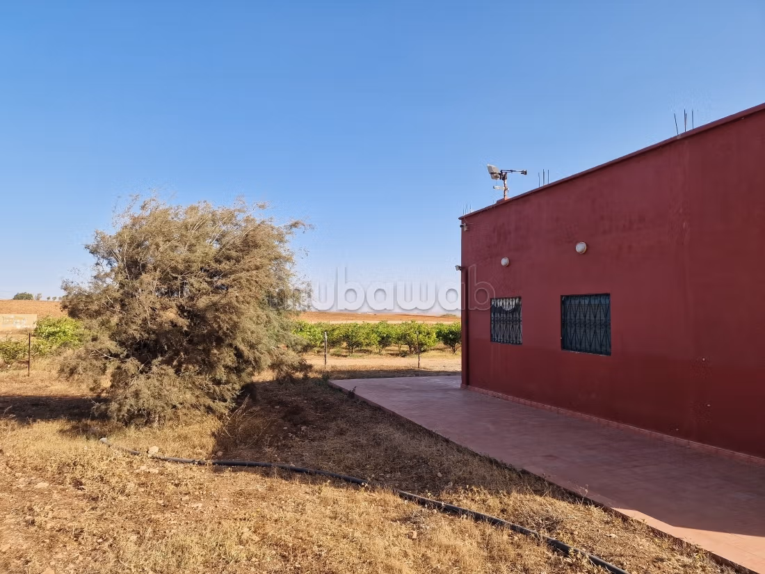 Agréable ferme à vendre à Oulad Hamdane. Surface de 26520 m². Sécurisé 24/24