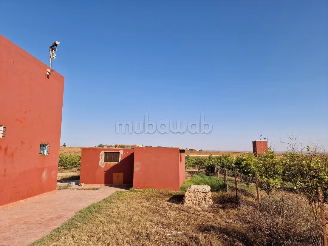 Agréable ferme à vendre à Oulad Hamdane. Surface de 26520 m². Sécurisé 24/24
