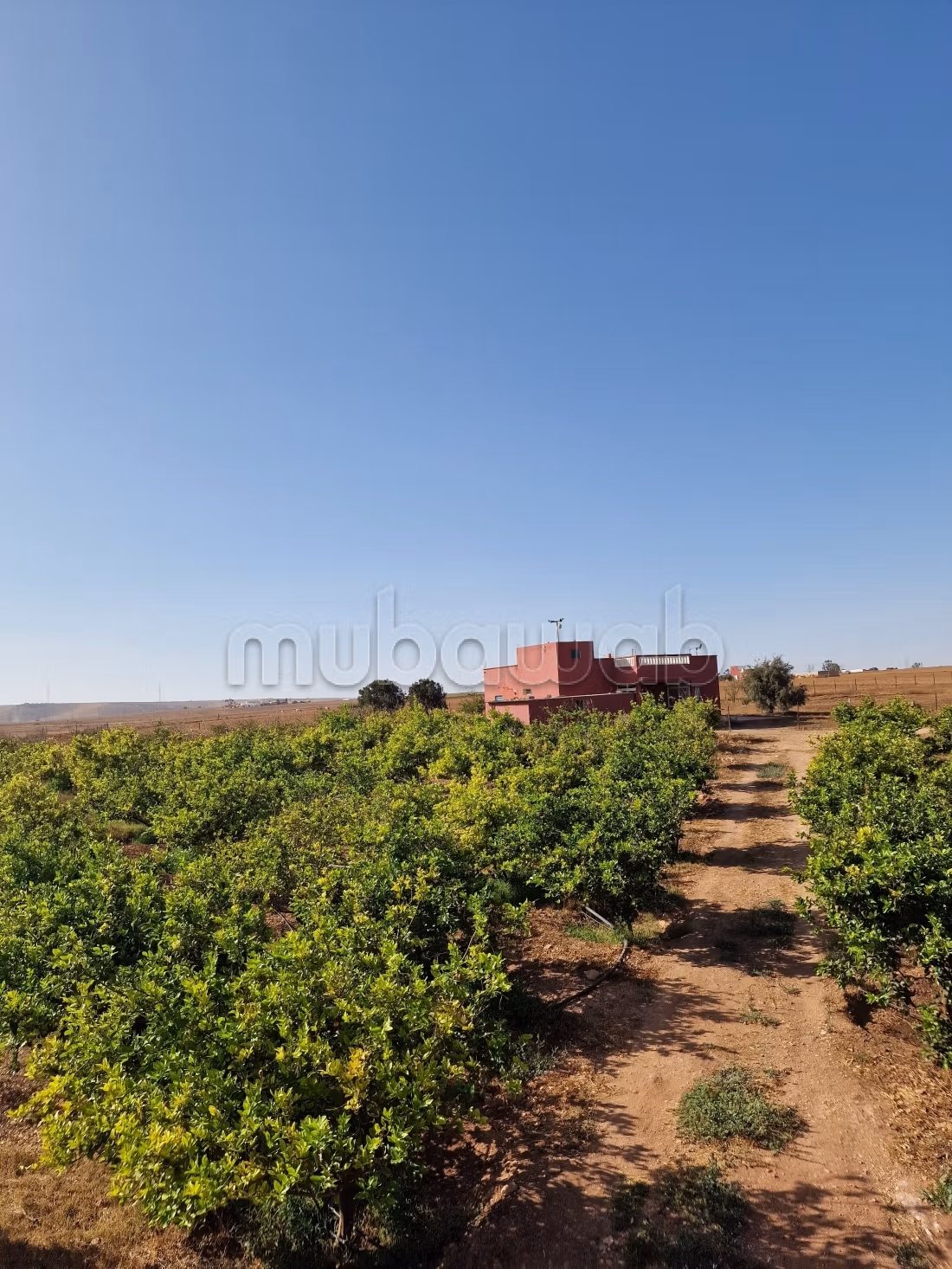 Agréable ferme à vendre à Oulad Hamdane. Surface de 26520 m². Sécurisé 24/24