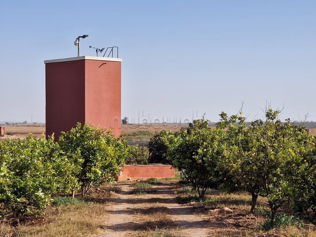 Agréable ferme à vendre à Oulad Hamdane. Surface de 26520 m². Sécurisé 24/24