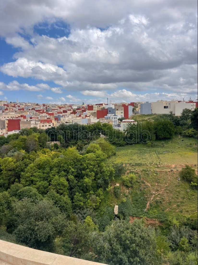 Appartamento nuovo, senza affacci, Grande terrazza, 2 camere