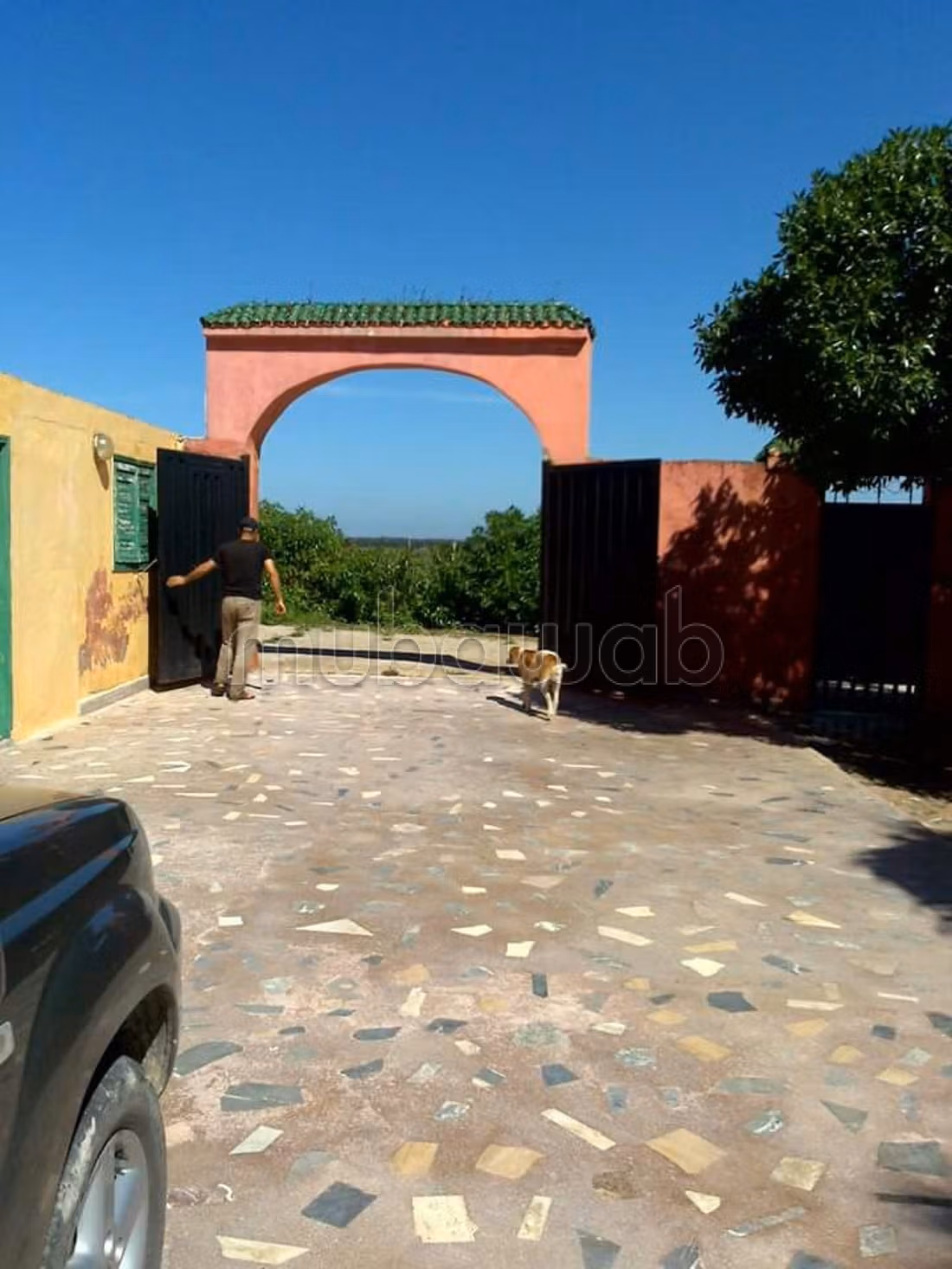 Tra la strada di Al-Jadid e Al-Jadid