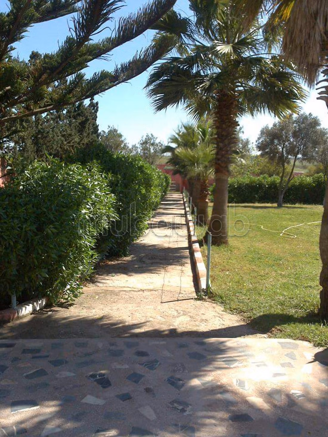 Tra la strada di Al-Jadid e Al-Jadid