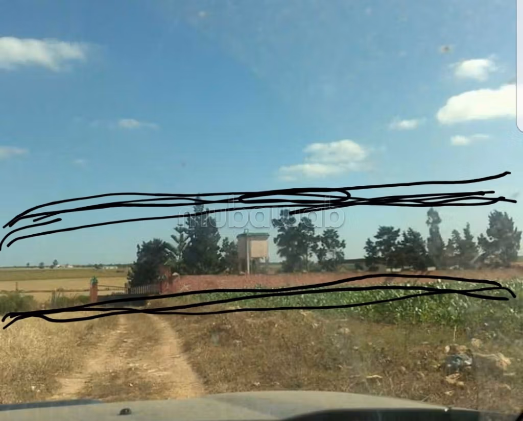 Tra la strada di Al-Jadid e Al-Jadid