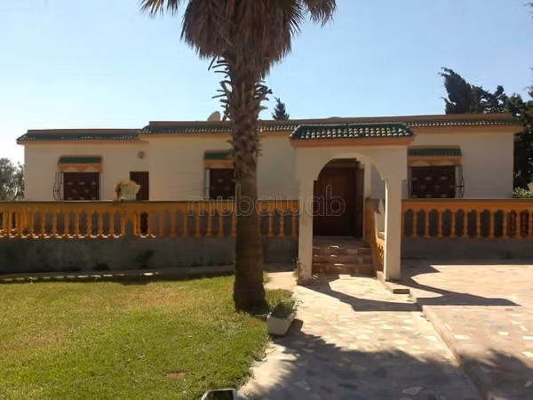 Entre la route d'Al-Jadid et d'Al-Jadid