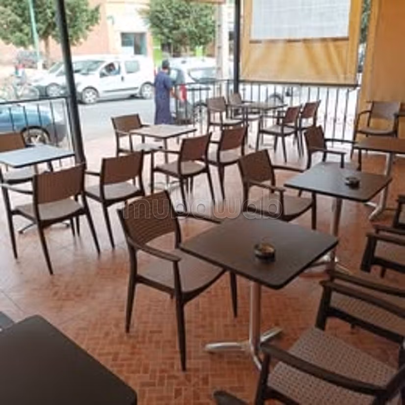 Coffee for sale Ait Melloul Ready to work project
