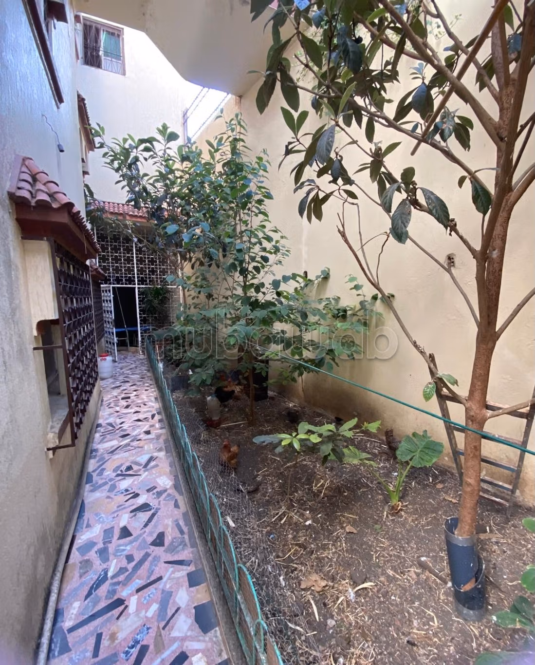 Maison titré rénovée avec jardin et garages