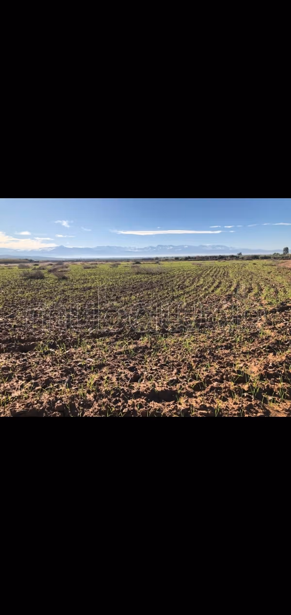 Terrain de luxe avec vue sur les montagnes de l’Atlas – Opportunité rare
