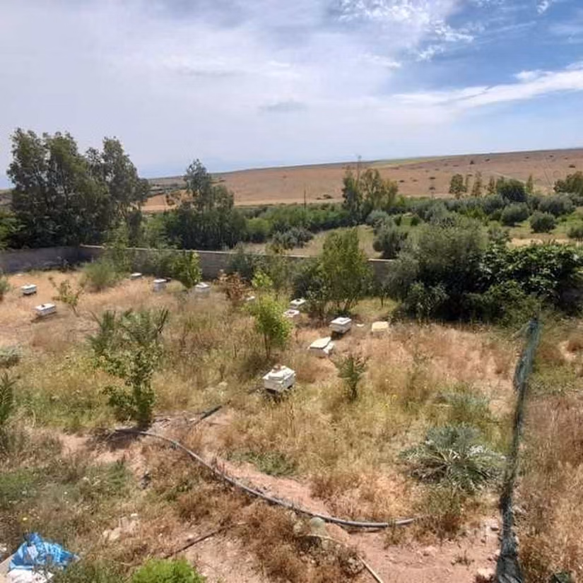 Villa en Venta de 10238.0 m² en Marrakech, M'Hamid