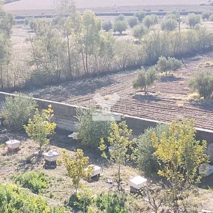 Villa a la Venta de 10238.0 m² en Marrakech, M'Hamid