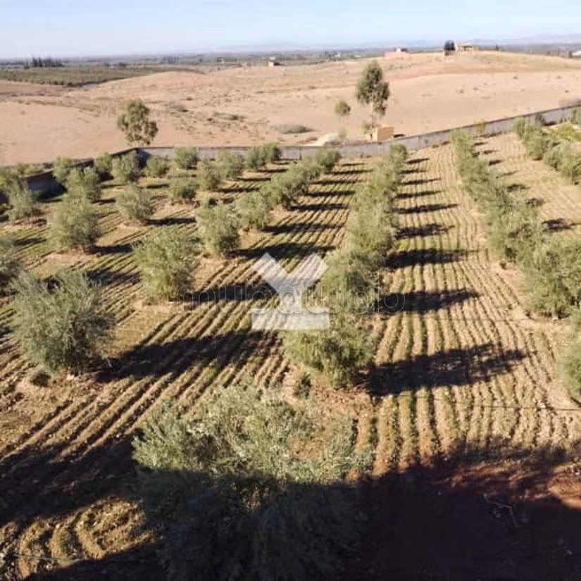 Villa a la Venta de 10238.0 m² en Marrakech, M'Hamid