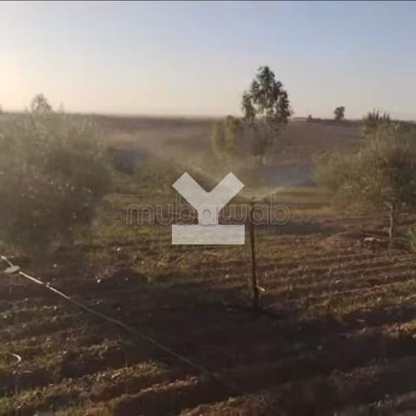 Villa a la Venta de 10238.0 m² en Marrakech, M'Hamid