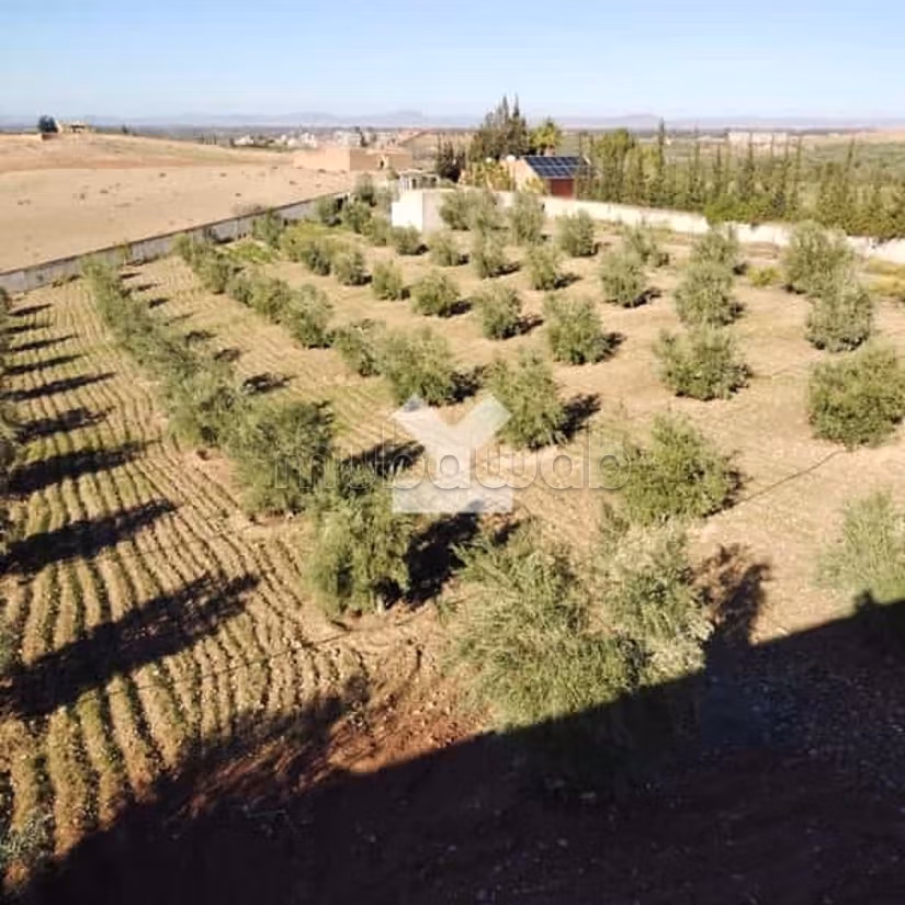 Villa a la Venta de 10238.0 m² en Marrakech, M'Hamid