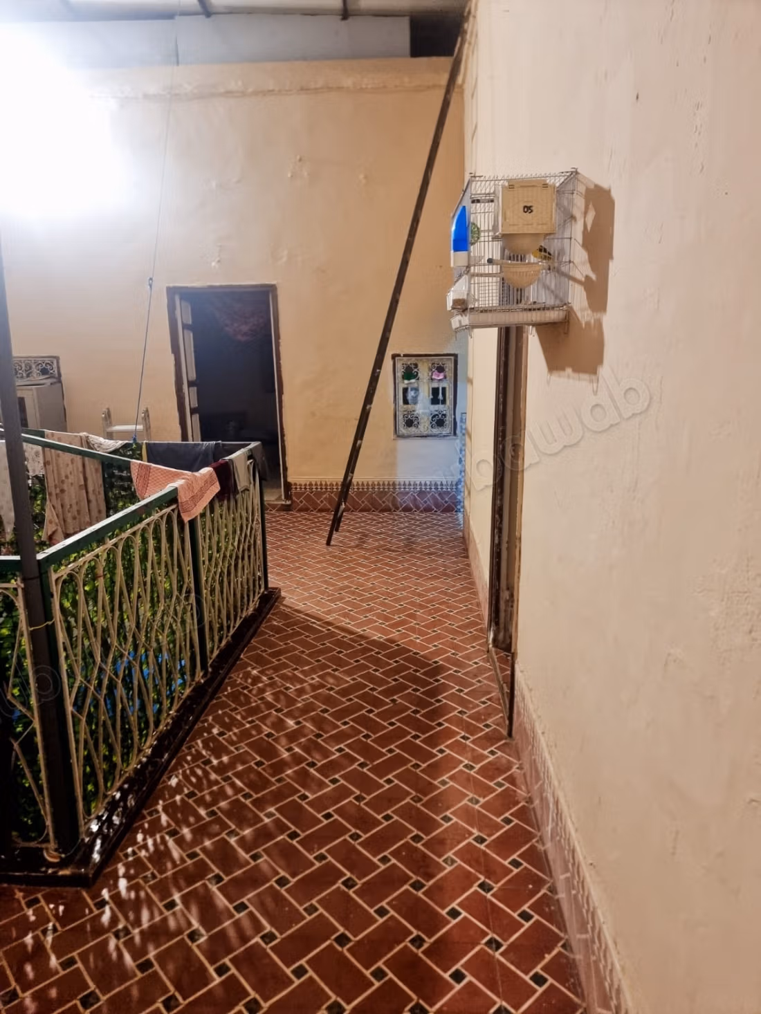 Bab doukkala 
db sidi masaud