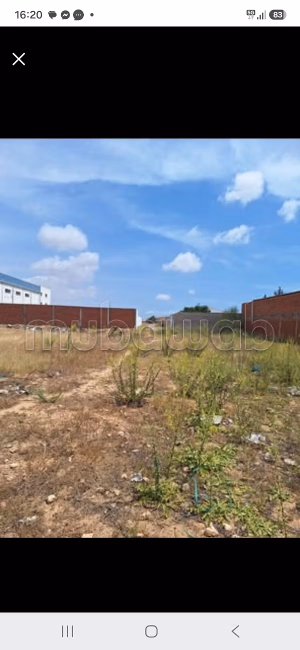 Vente Terrain – Zone Industrielle Sakiet Eddaer