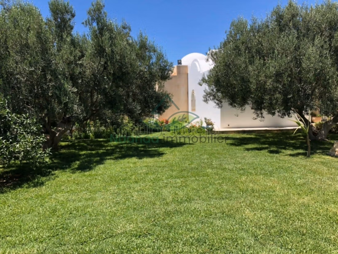 Location Estivale Une Villa S3 a Hammamet Nord