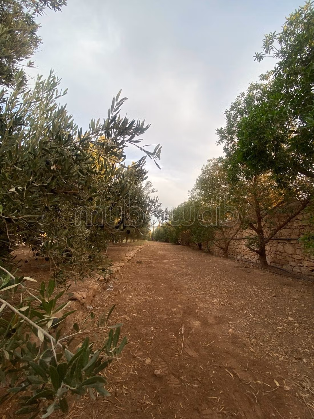 Terrain Titré Agricole 12 700 m²