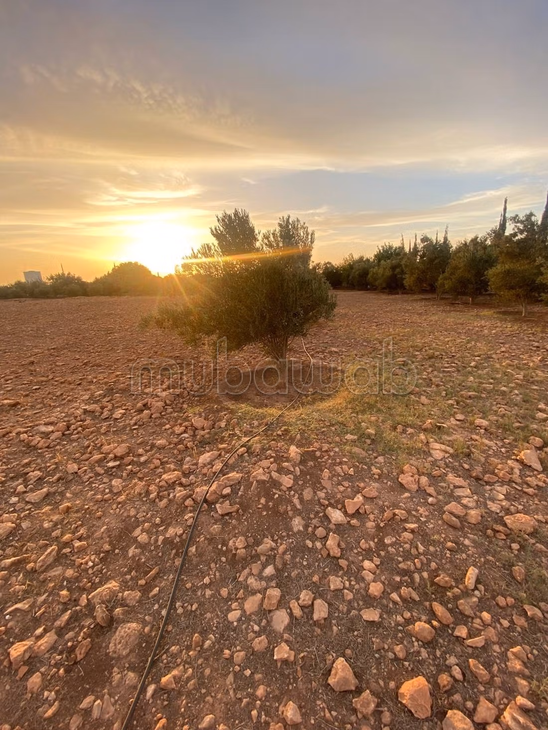 Terrain Titré Agricole 12 700 m²