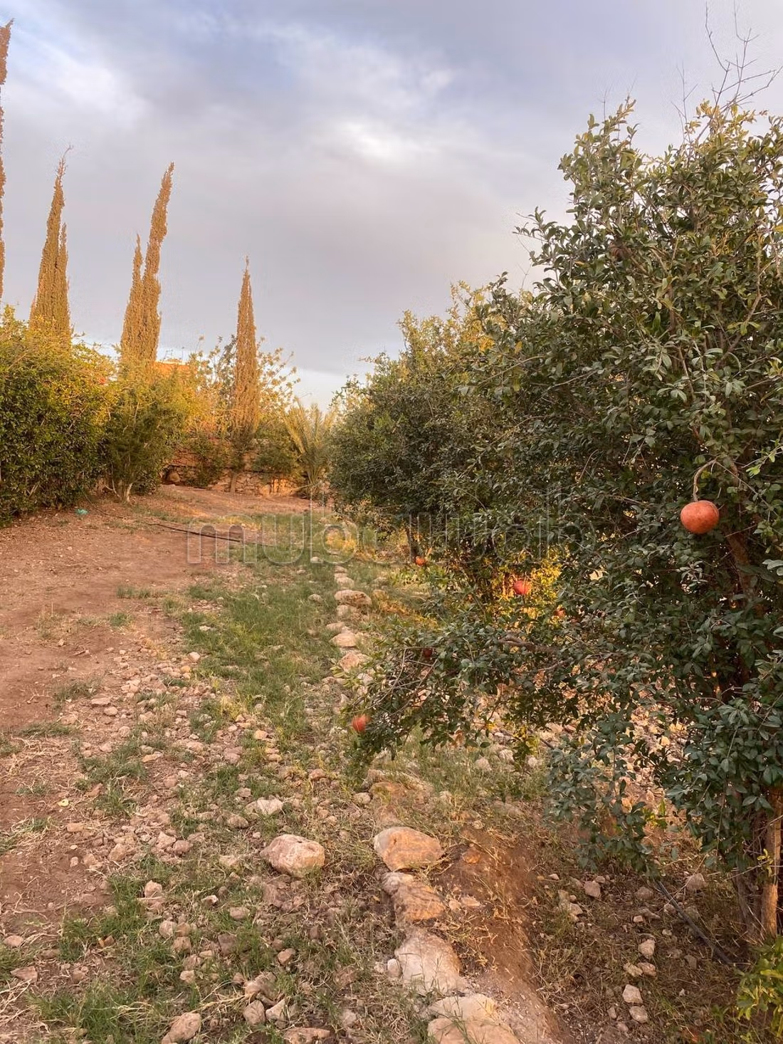Terrain Titré Agricole 12 700 m²