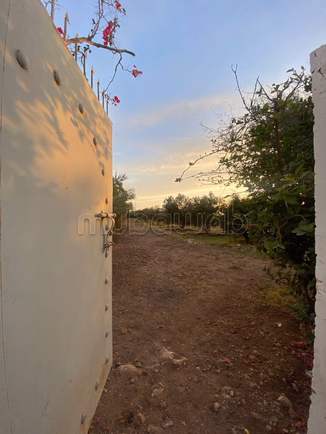 Terrain Titré Agricole 12 700 m²