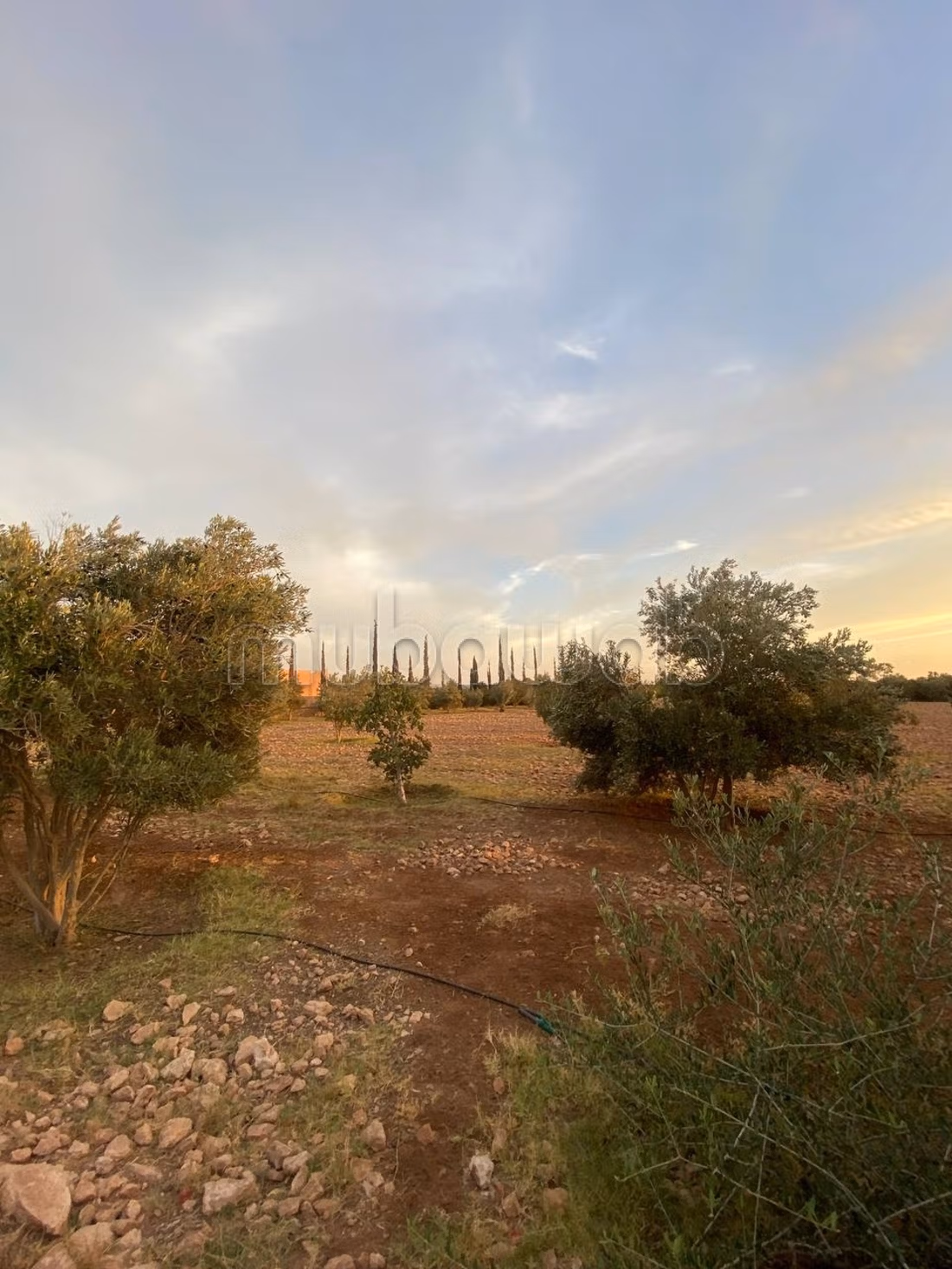 Terrain Titré Agricole 12 700 m²