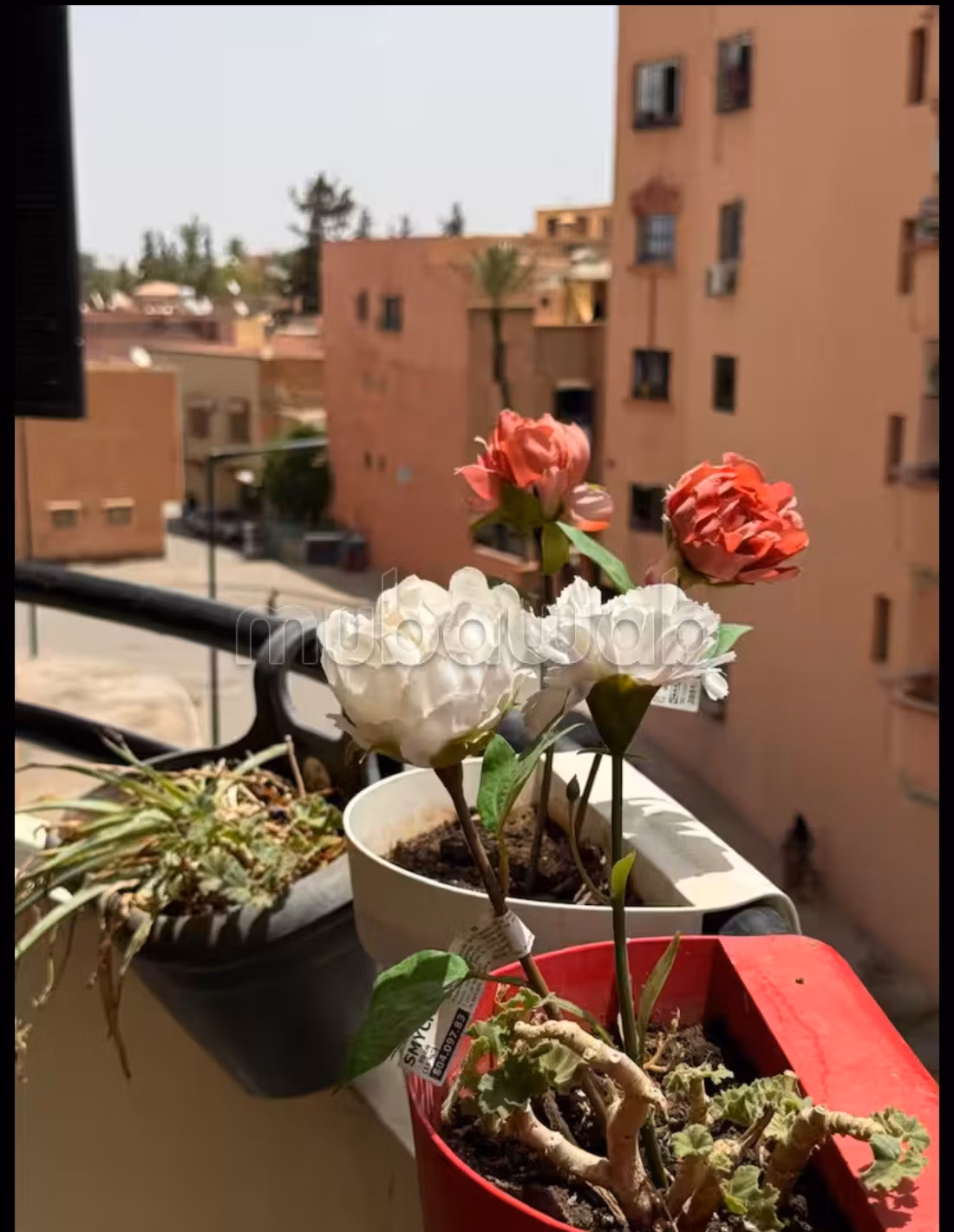 Appartement 90 m² à Route Casablanca — 19