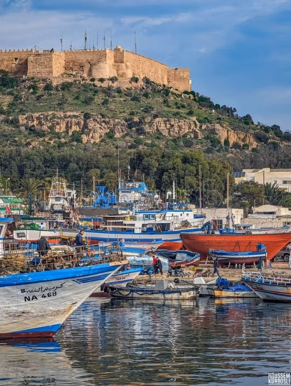 Deux studios a louer a kelibia