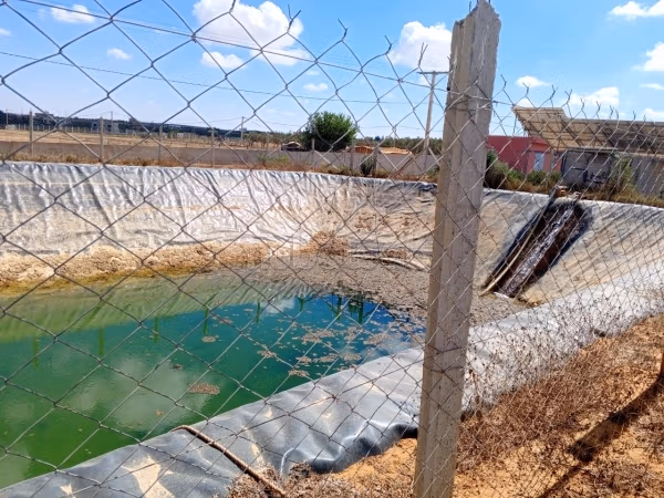 Encuentra la granja de tus sueños. Superficie de 38000 m²