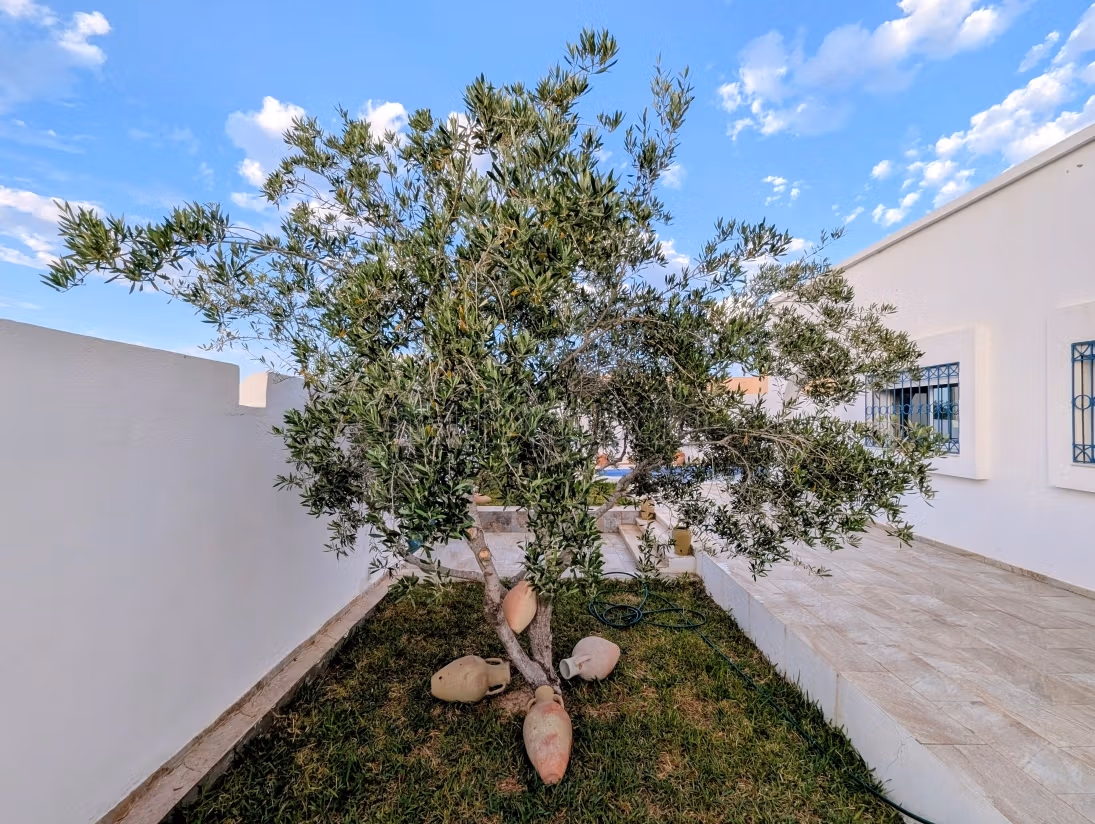 Villa white horizon