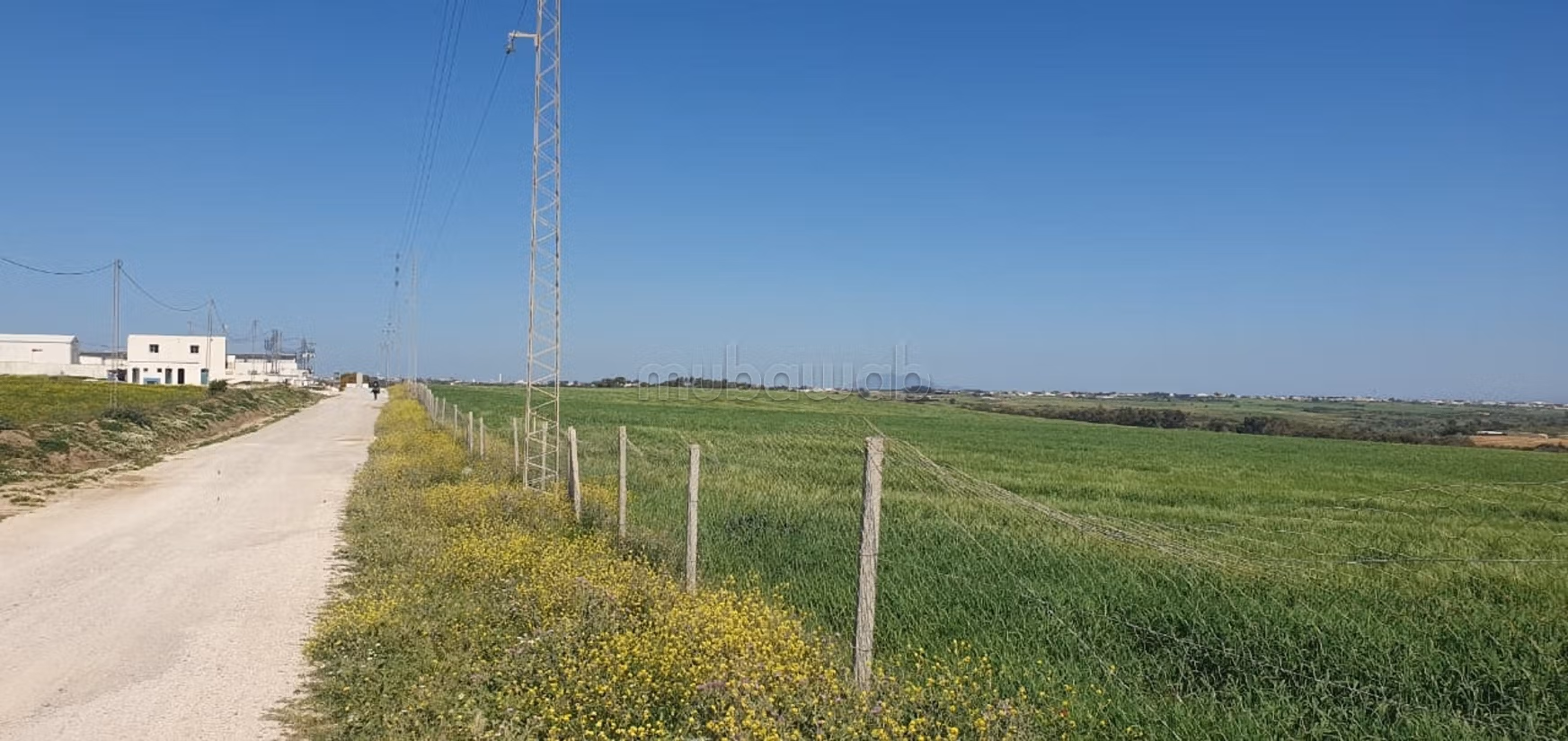 Terreno agricolo di 20 ettari a Manzel Temim